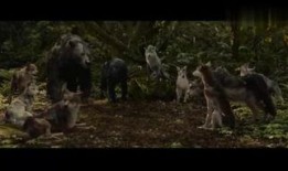 狼孩在线观看,重返人类世界的惊心动魄之旅